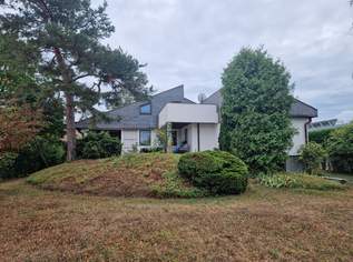 ARCHITEKTENWOHNJUWEL MIT PARKÄHNLICHEM GARTEN IN RUHELAGE MIT ALTBAUMBESTAND IM NAHBEREICH VON WIEN MIT HERVORRAGENDER INFRASTRUKTUR, 890000 €, Immobilien-Häuser in 3441 Baumgarten am Tullnerfeld ARCHITEKTENWOHNJUWEL MIT PARKÄHNLICHEM GARTEN IN RUHELAGE MIT ALTBAUMBESTAND IM NAHBEREICH VON WIEN MIT HERVORRAGENDER INFRASTRUKTUR, 890000 €, Immobilien-Häuser in 3441 Baumgarten am Tullnerfeld