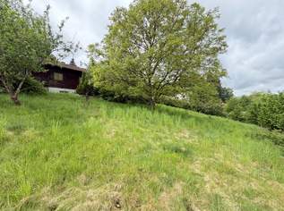 Baugrundstück mit Gartenhaus, 65000 €, Immobilien-Grund und Boden in 4782 St. Florian am Inn Baugrundstück mit Gartenhaus, 65000 €, Immobilien-Grund und Boden in 4782 St. Florian am Inn