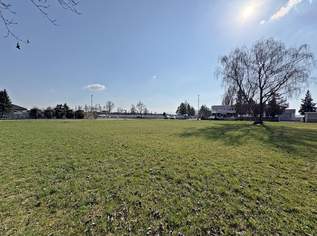 Attraktives Baugrundstück in zentraler Lage ohne Bauverpflichtung!, 260000 €, Immobilien-Grund und Boden in 4623 Gunskirchen Attraktives Baugrundstück in zentraler Lage ohne Bauverpflichtung!, 260000 €, Immobilien-Grund und Boden in 4623 Gunskirchen