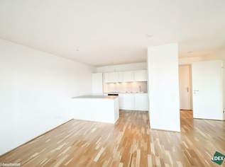 Charmante 2-Zimmer Wohnung nahe Siemens AG - neue Einbauküche!, 999 €, Immobilien-Wohnungen in 1210 Floridsdorf