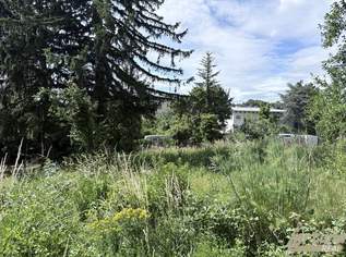 Baugrund in Grünruhelage am Wilhelminenberg, 725000 €, Immobilien-Grund und Boden in 1160 Ottakring Baugrund in Grünruhelage am Wilhelminenberg, 725000 €, Immobilien-Grund und Boden in 1160 Ottakring