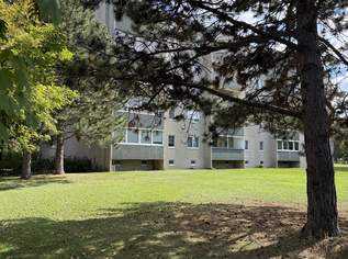 Wohnen oder Ordination, 319000 €, Immobilien-Wohnungen in 2500 Gemeinde Baden Wohnen oder Ordination, 319000 €, Immobilien-Wohnungen in 2500 Gemeinde Baden