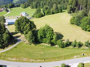 Baugrund samt Gartengrund (Grünland) in Zentrumsnähe von Kaltenberg, 47840 €, Immobilien-Grund und Boden in 4273 Kaltenberg