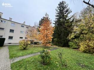 3 Zimmer Wohnung in Weidling: 71,56 m² für nur 220.000 €, 220000 €, Immobilien-Wohnungen in 3400 Weidling