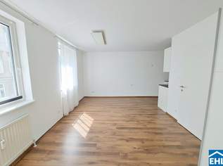 Zentral gelegenes 1-Zimmer-Apartment in ruhiger Seitengasse des 7. Bezirks, 230000 €, Immobilien-Wohnungen in 1070 Neubau