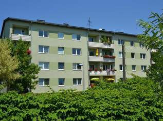 5-Zimmer-Mietwohnung in zentraler Lage in Wieselburg, 965.9 €, Immobilien-Wohnungen in 3250 Gemeinde Wieselburg 5-Zimmer-Mietwohnung in zentraler Lage in Wieselburg, 965.9 €, Immobilien-Wohnungen in 3250 Gemeinde Wieselburg