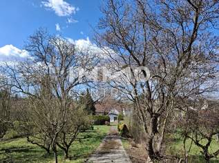 Schönes Haus mit großem Garten und Erweiterungsmöglichkeiten, 289000 €, Immobilien-Häuser in 7432 Gemeinde Oberschützen Schönes Haus mit großem Garten und Erweiterungsmöglichkeiten, 289000 €, Immobilien-Häuser in 7432 Gemeinde Oberschützen