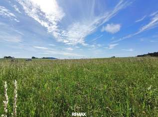 Grundstück mit Zukunftspotenzial im Waldviertel – 2.099 m² in Sprögnitz bei Zwettl, 16800 €, Immobilien-Grund und Boden in 3910 Sprögnitz Grundstück mit Zukunftspotenzial im Waldviertel – 2.099 m² in Sprögnitz bei Zwettl, 16800 €, Immobilien-Grund und Boden in 3910 Sprögnitz
