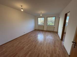 Rendite ca. 4,34% ! 1,5-Zimmer Wohnung zum Kauf beim Waldmüllerpark! Befristet vermietet!, 178000 €, Immobilien-Wohnungen in 1100 Favoriten