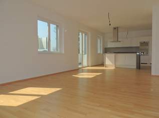 Sonnige 4-Zimmer Wohnung Nähe Badeteich, 1980.77 €, Immobilien-Wohnungen in 1220 Donaustadt