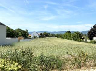Rarität! Großer Baugrund im malerischen Oslip - 5min zum Neusiedler See!, 299600 €, Immobilien-Grund und Boden in 7064 Oslip Rarität! Großer Baugrund im malerischen Oslip - 5min zum Neusiedler See!, 299600 €, Immobilien-Grund und Boden in 7064 Oslip