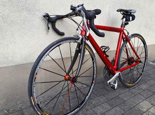 Rennrad, 700 €, Auto & Fahrrad-Fahrräder in 6850 Stadt Dornbirn