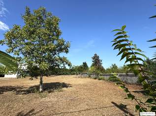 Unbebautes Grundstück | 600 m² | Bauland Wohngebiet – maximal 2 Wohneinheiten | im Herzen von Leopoldsdorf - unweit der Hauptstraße, 525000 €, Immobilien-Grund und Boden in 2333 Gemeinde Leopoldsdorf Unbebautes Grundstück | 600 m² | Bauland Wohngebiet – maximal 2 Wohneinheiten | im Herzen von Leopoldsdorf - unweit der Hauptstraße, 525000 €, Immobilien-Grund und Boden in 2333 Gemeinde Leopoldsdorf