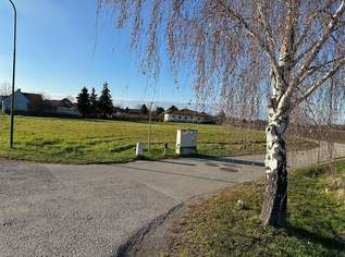 BAUEN UND WOHNEN MIT AUS- UND FERNBLICK DIREKT AN FELDER ANGRENZEND IN AUSGEZEICHNETER WOHNLAGE IM NAHBEREICH VON TULLN AN DER DONAU UND WIEN, 425000 €, Immobilien-Grund und Boden in 3430 Mollersdorf BAUEN UND WOHNEN MIT AUS- UND FERNBLICK DIREKT AN FELDER ANGRENZEND IN AUSGEZEICHNETER WOHNLAGE IM NAHBEREICH VON TULLN AN DER DONAU UND WIEN, 425000 €, Immobilien-Grund und Boden in 3430 Mollersdorf