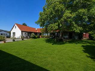 Attraktive Liegenschaft! 2 Wohneinheiten auf großem Grundstück -Jetzt günstig investieren!, 225000 €, Immobilien-Häuser in 2630 Gemeinde Ternitz