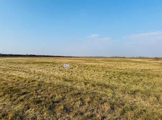 Großes Grundstück in Ortsrandlage - ideal für Bauträger, 1579500 €, Immobilien-Grund und Boden in 2425 Nickelsdorf