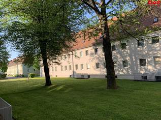 Moderner Rückzugsort für Familien & Naturfans: helle Wohnküche, 3 Schlafzimmer und ein hochwertiges Bad vereinen Komfort, Stil und urbanes Lebensgefühl auf kompaktem Raum!, 521.53 €, Immobilien-Wohnungen in 4400 Steyr