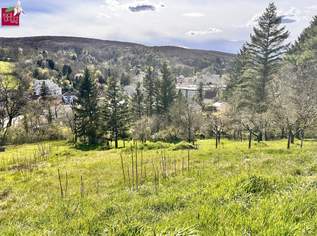 Traumhaftes Hanggrundstück in Kierling, Klosterneuburg – sonnig & ruhig gelegen, 830000 €, Immobilien-Grund und Boden in 3400 Gemeinde Klosterneuburg