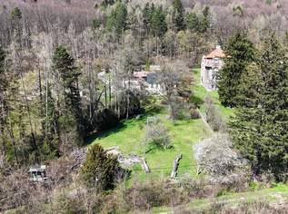Teilbar! Riesiges Grundstück mit Altbestand in traumhafter Südlage am Sagberg, 1480000 €, Immobilien-Grund und Boden in 3002 Purkersdorf