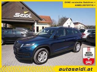 Kodiaq 2,0 TDI Ambition SC DSG *LED+AHV+NAVI*, 23900 €, Auto & Fahrrad-Autos in 8200 Gleisdorf Kodiaq 2,0 TDI Ambition SC DSG *LED+AHV+NAVI*, 23900 €, Auto & Fahrrad-Autos in 8200 Gleisdorf