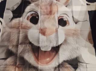 SCHÖNE LUSTIGE OSTERDEKO !!