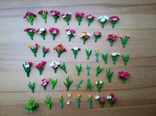 Playmobil Blumen/Blüten Sets ab 17 €