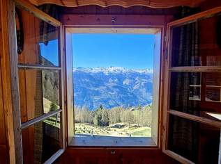 "Back to the Roots" Almhütte für absolute Naturliebhaber, 0 €, Immobilien-Häuser in 9832 Stall