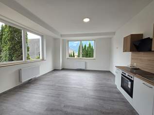 Schöne und neu renovierte Wohnung mit riesiger 115m² Terrasse in Spittal, 888 €, Immobilien-Wohnungen in 9800 Spittal an der Drau