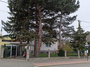 Grundstück mit Bastlerhaus, 1790000 €, Immobilien-Grund und Boden in 1210 Floridsdorf