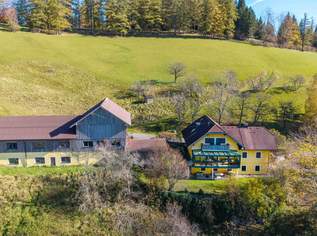 ALLEINLAGE - INTAKTE NATUR - HERRLICHE AUSSICHT - IHR TRAUM? GERNE BAUER?, 1200000 €, Immobilien-Häuser in 4644 Scharnstein ALLEINLAGE - INTAKTE NATUR - HERRLICHE AUSSICHT - IHR TRAUM? GERNE BAUER?, 1200000 €, Immobilien-Häuser in 4644 Scharnstein