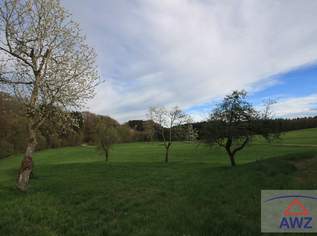 Bauernsacherl in Ruhelage!, 0 €, Immobilien-Häuser in 5233 Pischelsdorf am Engelbach