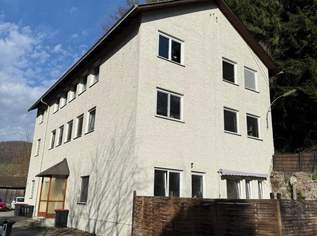 Vollvermietetes Zinshaus mit 4 Einheiten, kein Sanierungsaufwand. Rendite ca. 10%, 480000 €, Immobilien-Wohnungen in 4460 Losenstein