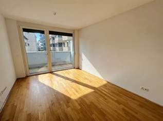 Attraktive 2 Zimmer Wohnung mit südwestseitiger Terrasse - direkt an der Alten Donau zu vermieten ! Mietbeginn 1.12.2026, 929.01 €, Immobilien-Wohnungen in 1220 Donaustadt