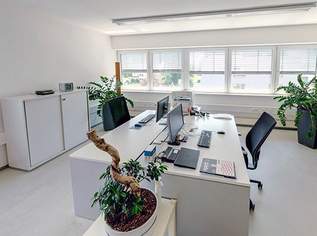 Einzelbüros ab ca. 25m² im Innovationszentrum W.E.I.Z., größere weitere Büroräume verfügbar, 291.14 €, Immobilien-Gewerbeobjekte in 8160 Weiz Einzelbüros ab ca. 25m² im Innovationszentrum W.E.I.Z., größere weitere Büroräume verfügbar, 291.14 €, Immobilien-Gewerbeobjekte in 8160 Weiz