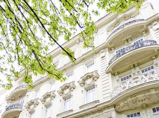 ALTBAURARITÄT - NÄHE LIECHTENSTEINPARK, 690000 €, Immobilien-Wohnungen in 1090 Alsergrund