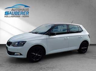 FABIA 1,2 TSI *Style* I 79.000 KM I, 9390 €, Auto & Fahrrad-Autos in Niederösterreich