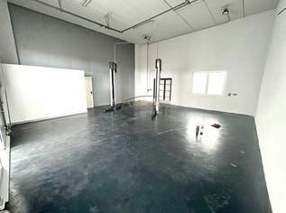 ZUR MIETE// Neubauhalle mit Anlagengenehmigung, Inventar und Hebebühne., 724.8 €, Immobilien-Gewerbeobjekte in 2601 Sollenau