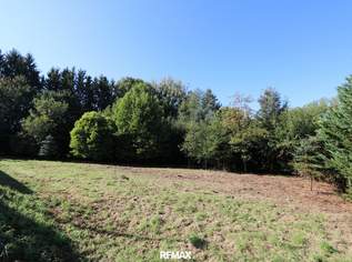 Vom Traum zum Zuhause – 821 m² Lebensfreude in Steinhaus - Grundstück mit vielen Möglichkeiten, 215000 €, Immobilien-Grund und Boden in 4641 Steinhaus Vom Traum zum Zuhause – 821 m² Lebensfreude in Steinhaus - Grundstück mit vielen Möglichkeiten, 215000 €, Immobilien-Grund und Boden in 4641 Steinhaus