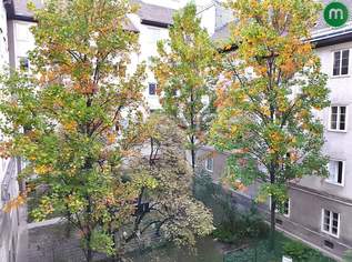 UNBEFRISTETE MIETE: Garconniere in Hofruhelage nahe Matzleinsdorfer Platz, 429.9 €, Immobilien-Wohnungen in 1100 Favoriten