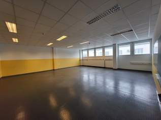 Genügend Platz für Ihr Business!!, 15861.13 €, Immobilien-Gewerbeobjekte in 4050 Traun