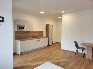 Möbliertes 1-Zimmer-Apartment mit Loggia € 520,- inkl. BK, HK, Strom u. Wlan, 520 €, Immobilien-Wohnungen in 4770 Andorf