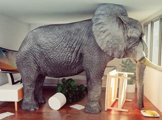 PROVISIONSFREI! ANTON-BENYA-STRASSE 3-7, 1355.5 €, Immobilien-Wohnungen in 2331 Vösendorf