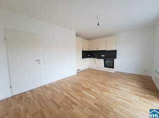 3 Zimmerwohnung mit Terrasse Nähe Votivkirche - Schottentor, 1687.93 €, Immobilien-Wohnungen in 1090 Alsergrund
