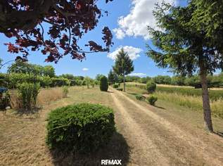 Wohnensemble im Weinort Herrnbaumgarten, 299000 €, Immobilien-Häuser in 2171 Herrnbaumgarten Wohnensemble im Weinort Herrnbaumgarten, 299000 €, Immobilien-Häuser in 2171 Herrnbaumgarten