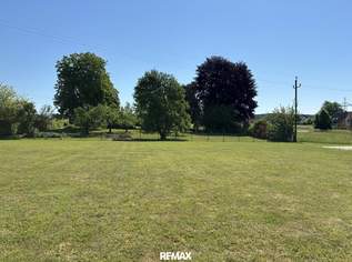 Wunderschönes Baugrundstück in sonniger und ruhiger Lage, 176400 €, Immobilien-Grund und Boden in 4975 Suben Wunderschönes Baugrundstück in sonniger und ruhiger Lage, 176400 €, Immobilien-Grund und Boden in 4975 Suben