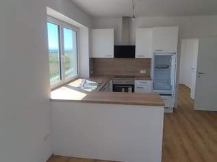 Erstbezug nach Renovierung: 2-Zimmer Wohnung in Ennsdorf mit neuer Küche & Gartenmitbenützung, 722.43 €, Immobilien-Wohnungen in 4482 Ennsdorf