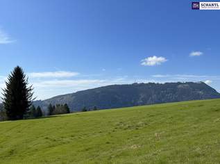 Traumhaftes Baugrundstück in 8062 Rabnitz – sonnige Lage mit herrlichem Ausblick!, 160000 €, Immobilien-Grund und Boden in 8062 Rabnitz Traumhaftes Baugrundstück in 8062 Rabnitz – sonnige Lage mit herrlichem Ausblick!, 160000 €, Immobilien-Grund und Boden in 8062 Rabnitz