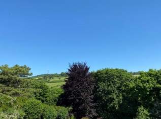 saniertes Reihenhaus mit Blick auf den Kahlenberg *Toplage in Döbling - Unterer Schreiberweg*, 2756.09 €, Immobilien-Wohnungen in 1190 Döbling saniertes Reihenhaus mit Blick auf den Kahlenberg *Toplage in Döbling - Unterer Schreiberweg*, 2756.09 €, Immobilien-Wohnungen in 1190 Döbling