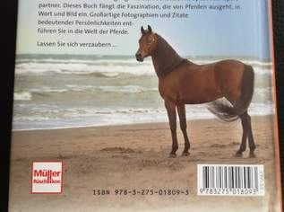 Pferdebuch: Liebenswerte Pferde
