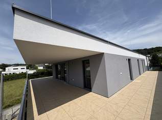 Luxus Penthouse inklusive 3 TG-Plätze | Erstbezug | Harmonia Puchenau, 899500 €, Immobilien-Wohnungen in 4048 Puchenau